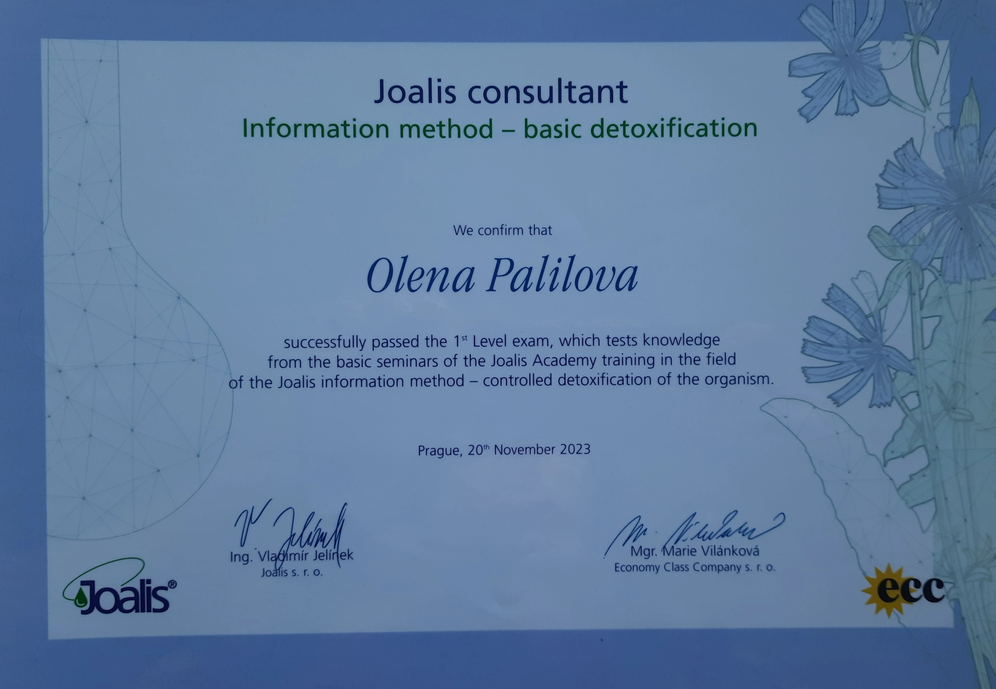 Сертифікат 11